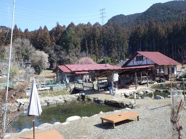 鹿沼 たった１００円で釣りができる 釣って食べて楽しめる古戸中養魚場 リビング栃木web