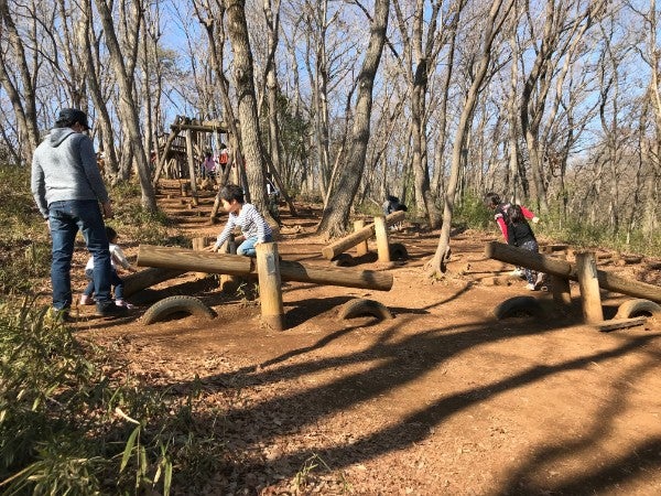 自然の中のアスレチックは遊びきれない楽しさ 都立野山北 六道山公園 リビング多摩web