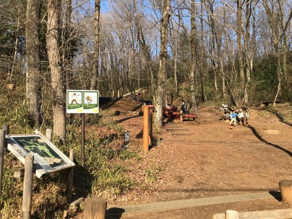 自然の中のアスレチックは遊びきれない楽しさ 都立野山北 六道山公園 リビング多摩web