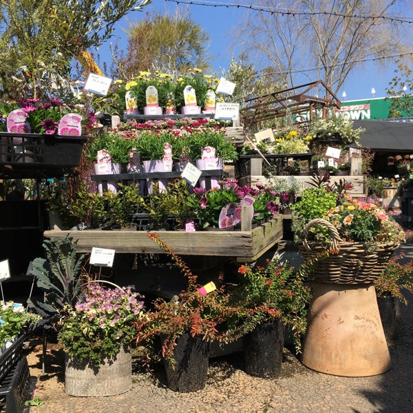稲毛 おしゃれ園芸店 The Farm Universal Chiba リビング千葉web