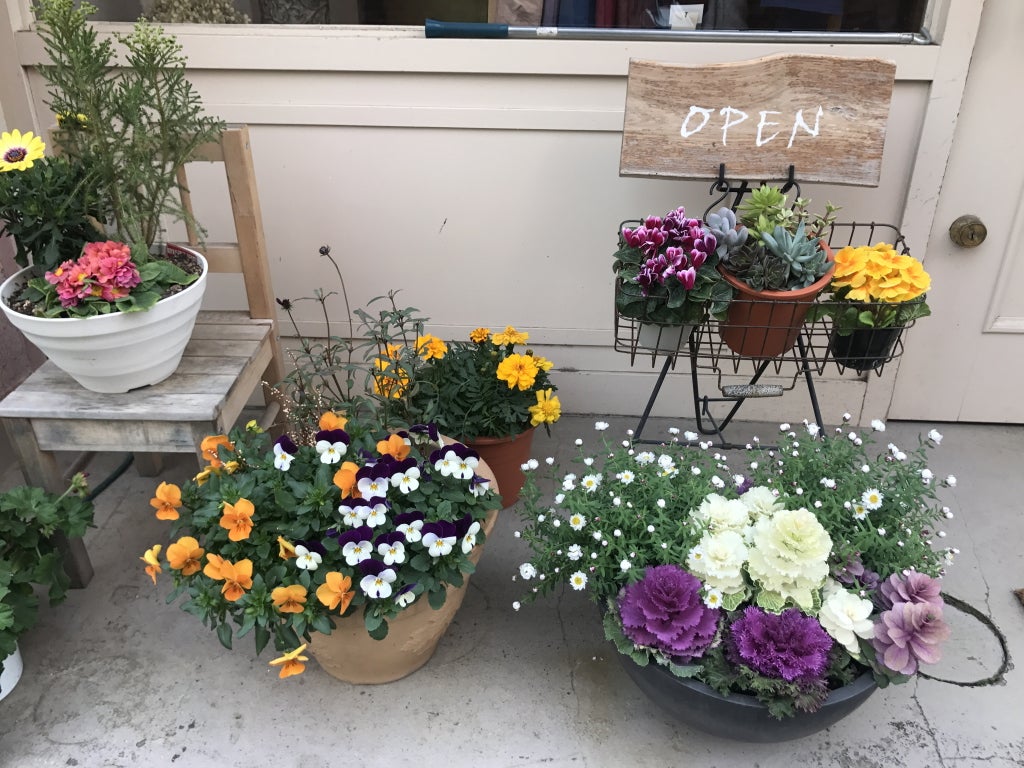 雑貨好き必見 あざみ野マダムが通う シスル でお気に入りをセレクト リビング田園都市web