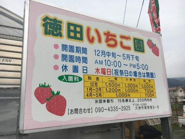 いちごの楽園 徳田いちご園 おいしい 楽しい 快適 大洲 リビングえひめweb