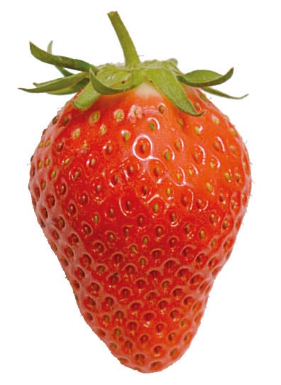 岡山いちご図鑑】真っ赤でかわいいフォルムにドキッ♥｜特集