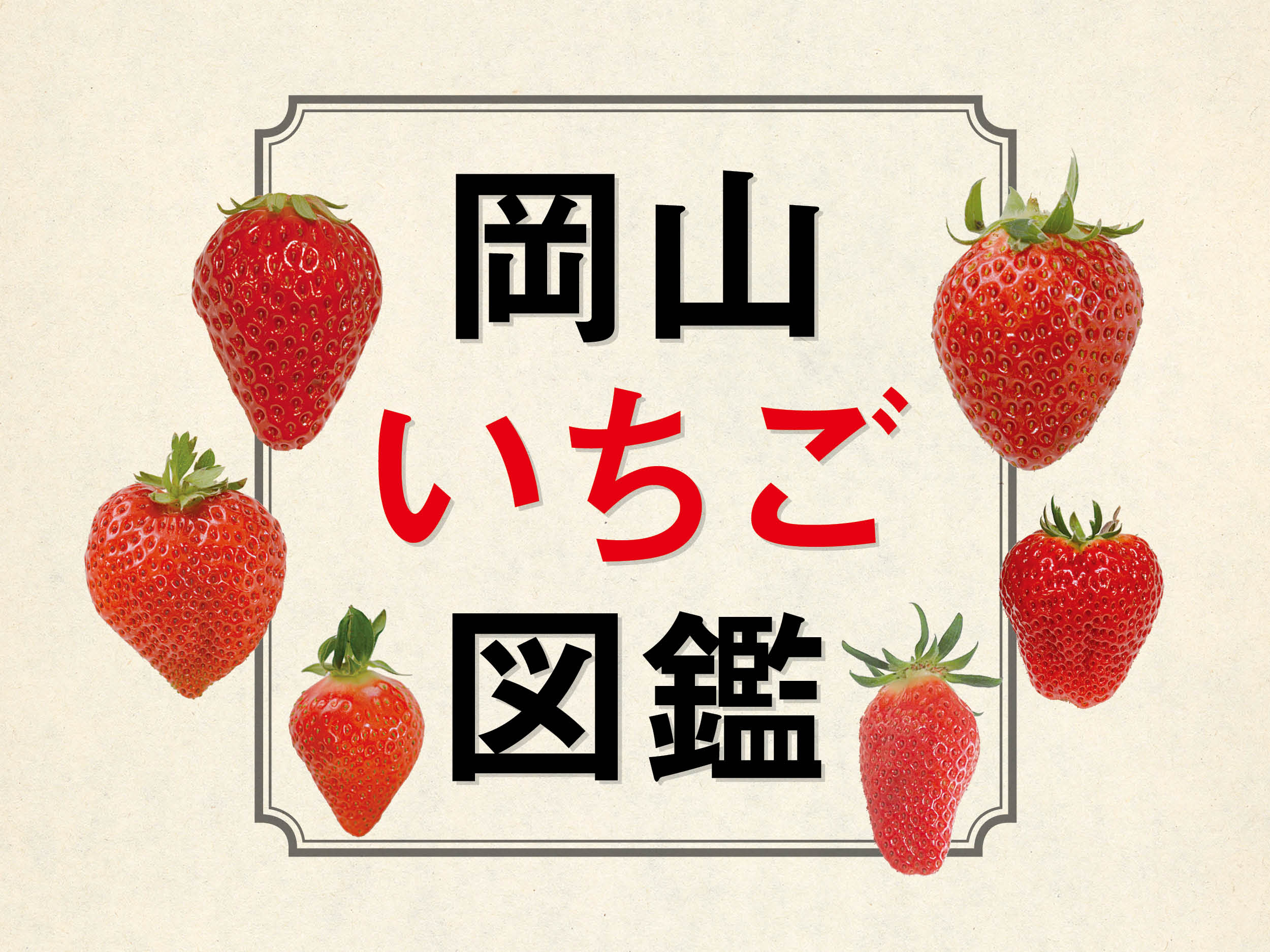 岡モータースさん　可愛い苺 岡山いちご図鑑】真っ赤でかわいいフォルムにドキッ♥｜特集