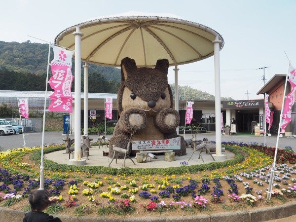 長島町 花フェスタ開催中 鮮やかな花々に癒される 長島ブーゲンビリアの丘 リビングかごしまweb