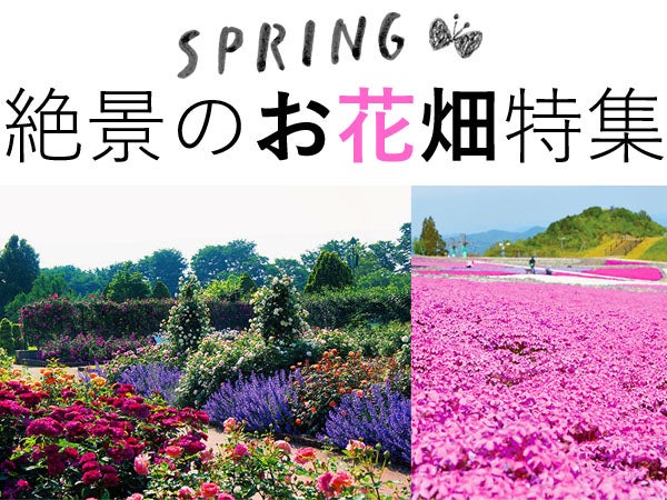 Gwに出かけたい 絶景のお花畑スポット 19年 東海の名所10選 特集 リビング名古屋web