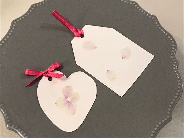 桜の花びらでしおり作り リビングメイト 趣味 南国好き母の虹色ライフ リビングメイト リビングくらしナビ 桜の花びらでしおり作り リビングメイト 趣味 南国好き母の虹色ライフ リビングメイト リビングくらしナビ