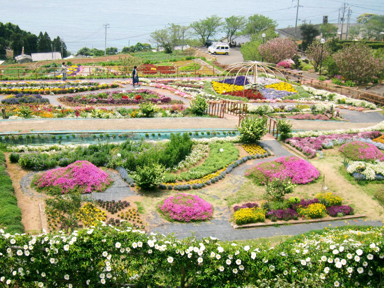 5月6日 色とりどりの花々が咲き誇る 夢追い長島花フェスタ 体験型イベントも開催 リビングかごしまweb