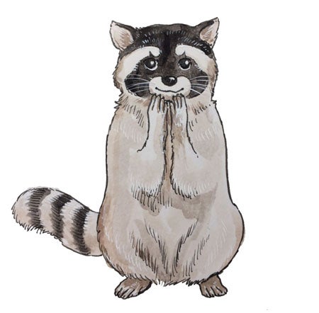 ざんねんないきもの事典 の次は おさわがせ と ぎりぎり が出ます くらしのアンテナ リビングくらしナビ