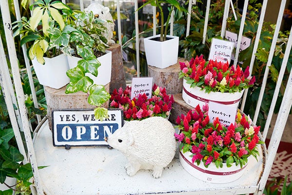 関内 ギフトにぴったり スタイリッシュなお花屋さん Hana Kura リビング横浜web