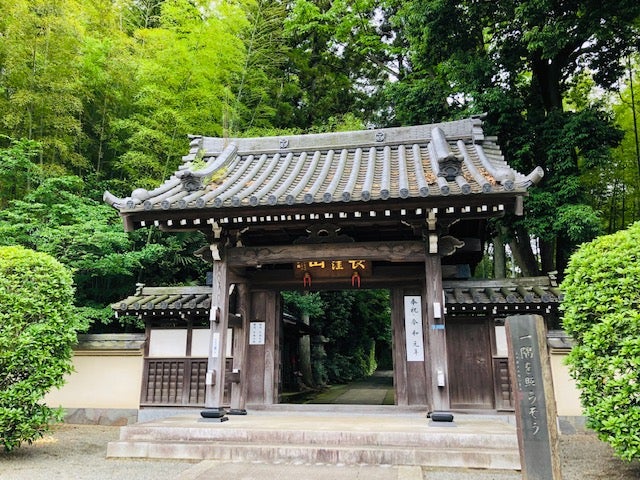 紫陽花 花菖蒲 睡蓮の花が一度に楽しめる センター南 正覚寺 リビング田園都市web
