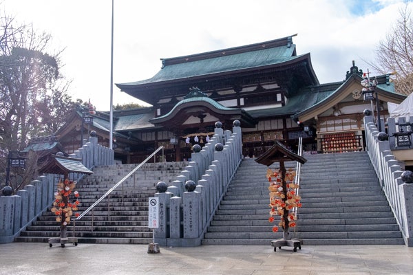 愛媛の御朱印コレクション＠伊豫豆比古命神社（椿神社）＠松山市