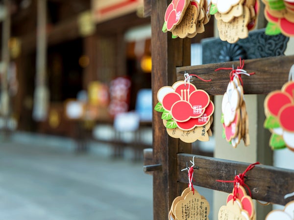 愛媛の御朱印コレクション＠伊豫豆比古命神社（椿神社）＠松山市