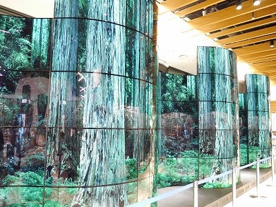 6月7日オープン エディオンなんば本店内覧会レポート 編集部くるくる日記 リビング大阪web