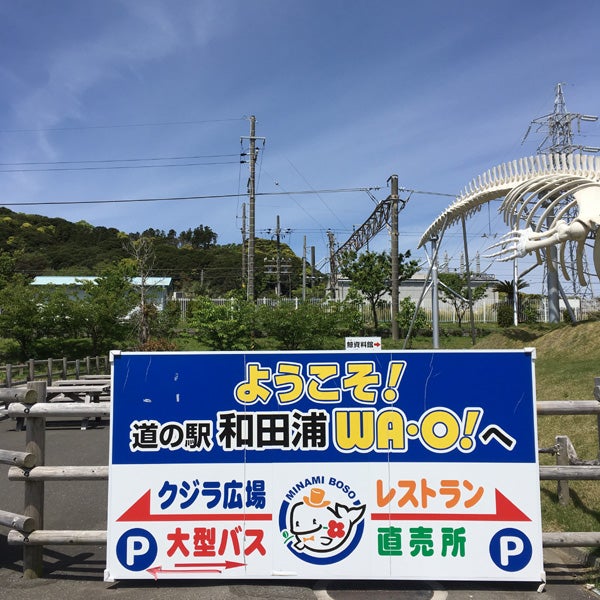 くじらの骨格標本が目印「道の駅和田浦WA・O！（ワオ！）」海と