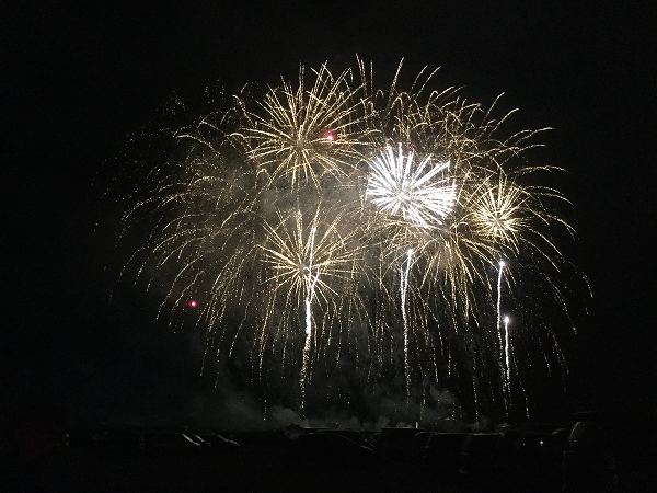 印旛郡】SAKAEリバーサイド・フェスティバルで花火5000発！8月24日開催 