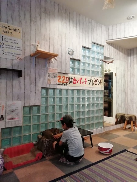 なでなでした い １ドリンク付き 猫カフェronron 大街道 リビングえひめweb