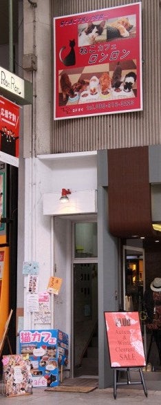 なでなでした い １ドリンク付き 猫カフェronron 大街道 リビングえひめweb