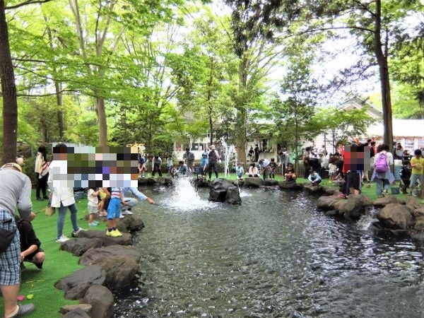 清水公園キャンプ場で マス釣り 体験 釣って塩焼き食べてきた 野田 リビングかしわweb