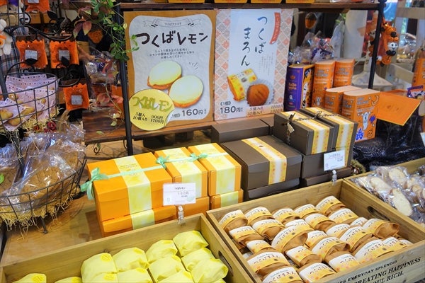 つくばで行列のできる洋菓子店 ガトープーリア のチーズ ズコット エクレア リビングかしわweb つくばで行列のできる洋菓子店 ガトープーリア のチーズ ズコット エクレア リビングかしわweb