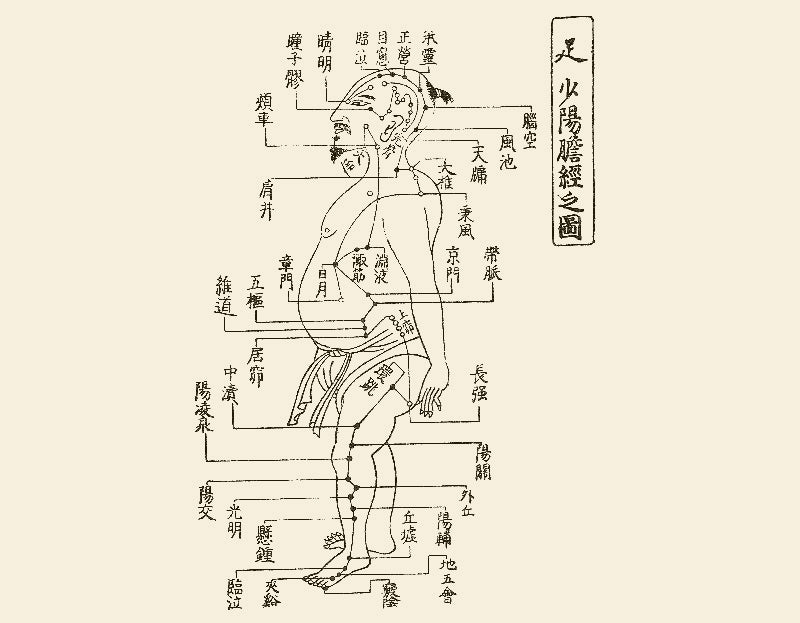 太もも痩せのツボ叩き 頭痛にも効く経絡 けいらく の不思議 ゲンキ台療 リビングくらしナビ