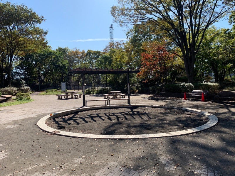 駐車場も完備！夏には水遊びまで楽しめる東村山中央公園 | リビング多摩Web