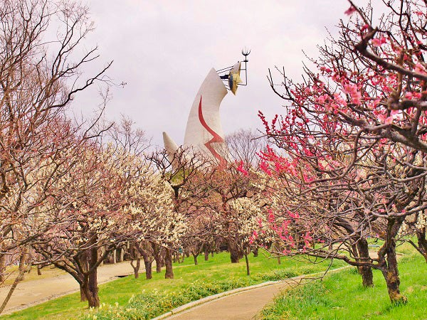 北摂 22年吹田 豊中 池田 茨木 高槻の観梅スポットを紹介 リビング北摂web