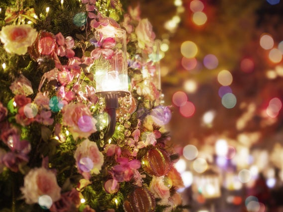 今週末からイベントも クリスマスのスペシャルランチ ディナーにお勧め Kagoshima Christmas Navi 特集 リビングかごしま Web 今週末からイベントも クリスマスのスペシャルランチ ディナーにお勧め Kagoshima Christmas Navi 特集 リビングかごしま Web