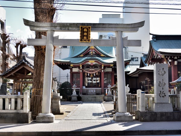 柏神社】“吉”釣れました！ユニークおみくじ＆可愛すぎる御朱印に初笑い