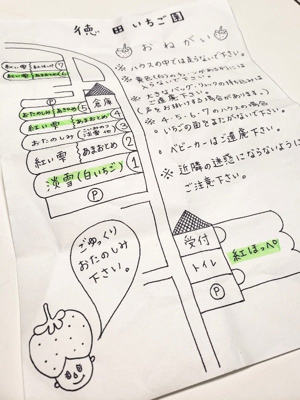 大洲icから車で5分 時間制限なし のんびりいちご狩り 徳田いちご園 リビングえひめweb