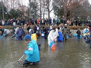 池底の泥を掻く 泥かき連 募集 上尾丸山公園の大池の秘密を探ってみよう リビング埼玉web