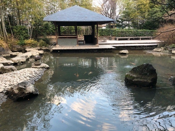 広島市西区】知る人ぞ知る？無料の日本庭園でほっと一息