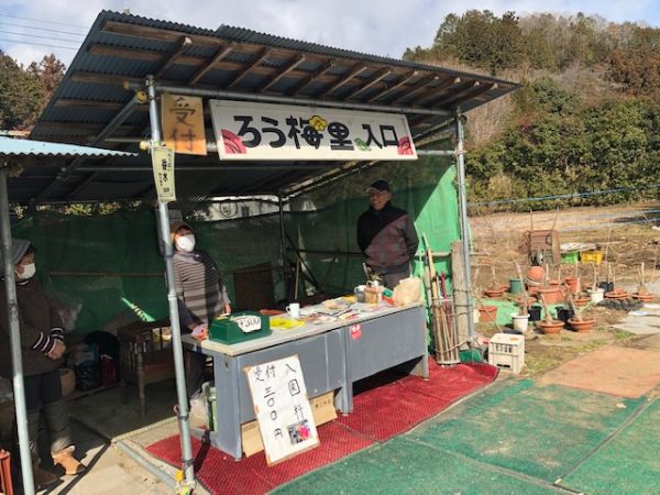 鹿沼市】春を先取り！ 甘い香りただよう「上永野 蝋梅（ろうばい）の里