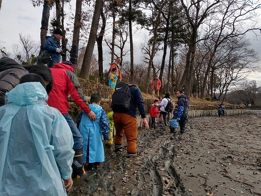 池底の泥を掻く 泥かき連 募集 上尾丸山公園の大池の秘密を探ってみよう リビング埼玉web