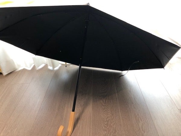 田中みな実さん愛用の最強日傘「サンバリア100」を購入して大満足 