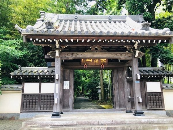 紫陽花が美しいお寺 天台宗長窪山 正覚寺 で梅雨の風物詩を センター南 リビング田園都市web