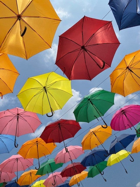 鹿沼市 アンブレラスカイ 憂いを吹き飛ばすカラフルな空を見上げて 鹿沼市花木センター リビング栃木web