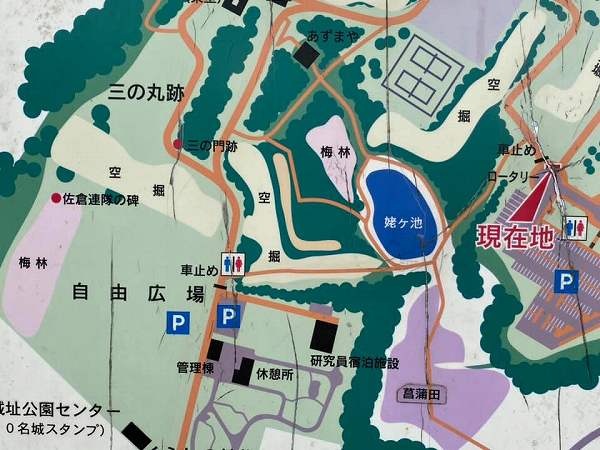 花菖蒲と紫陽花 あじさい が無料で楽しめる佐倉城址公園 佐倉市 リビング千葉web