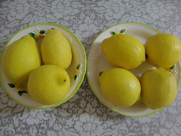 みずみずしいレモンで夏の生活をちょっぴりランクアップ リビング札幌web