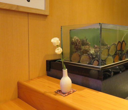 館山駅周辺で お寿司を食べるなら駅からすぐの 海の花 できまり リビング千葉web