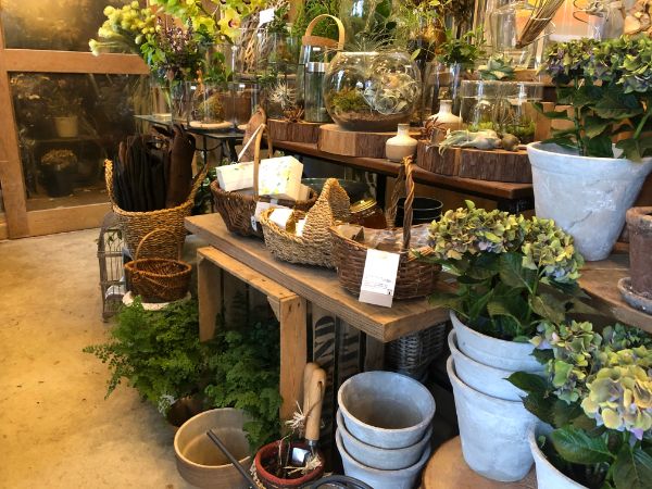 おしゃれすぎ 花に囲まれた癒しのオトナ空間 道後 お花屋さん リビングえひめweb おしゃれすぎ 花に囲まれた癒しのオトナ空間 道後 お花屋さん リビングえひめweb