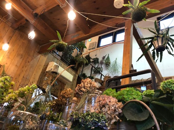おしゃれすぎ 花に囲まれた癒しのオトナ空間 道後 お花屋さん リビングえひめweb おしゃれすぎ 花に囲まれた癒しのオトナ空間 道後 お花屋さん リビングえひめweb