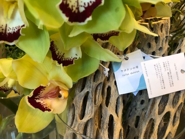 おしゃれすぎ 花に囲まれた癒しのオトナ空間 道後 お花屋さん リビングえひめweb おしゃれすぎ 花に囲まれた癒しのオトナ空間 道後 お花屋さん リビングえひめweb