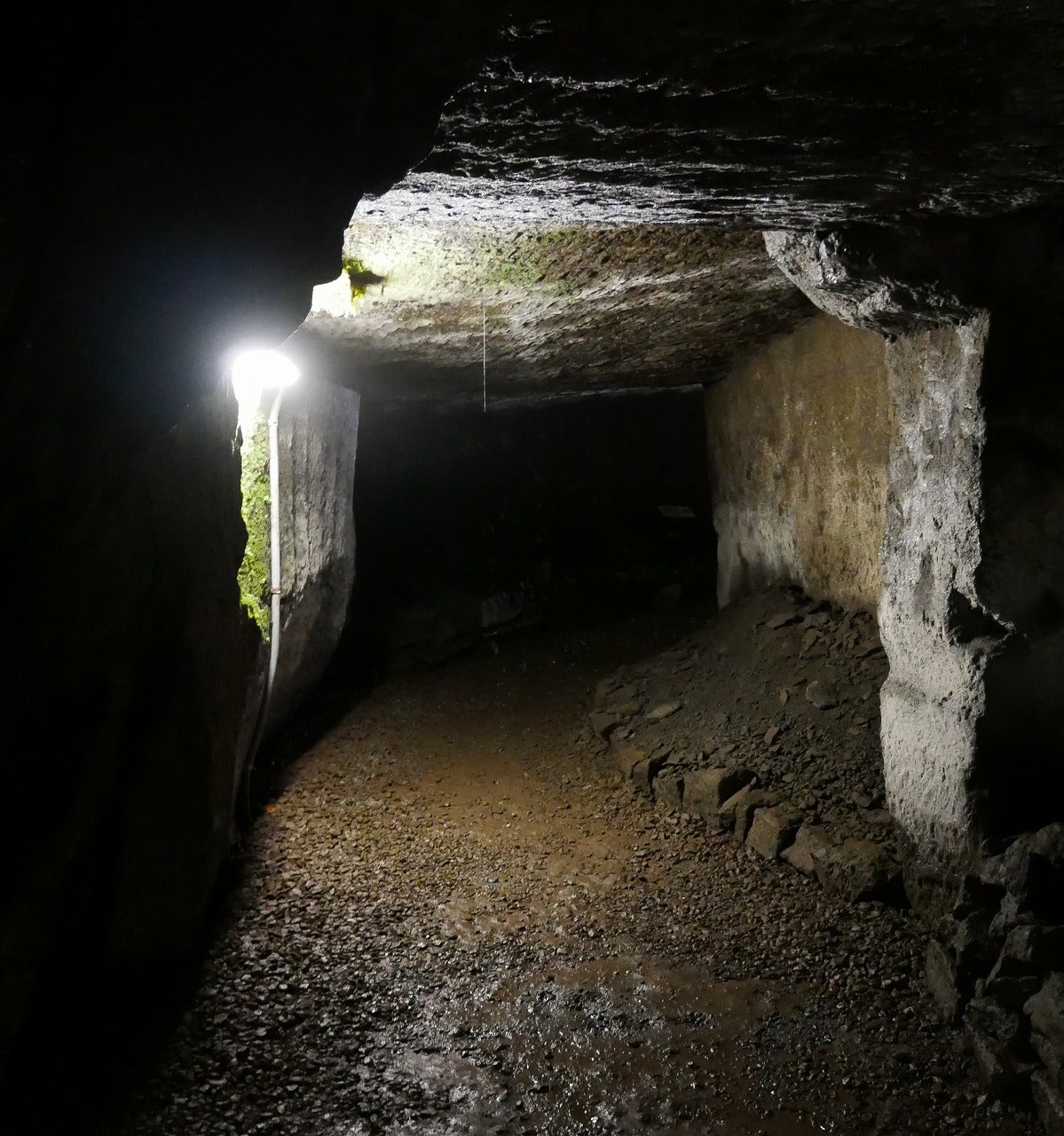 リビング発 私のひんやり 地底探訪 大谷石と同じ凝灰岩の採掘現場 伊豆 室岩洞 へ潜入 リビング栃木web リビング発 私のひんやり 地底探訪 大谷石と同じ凝灰岩の採掘現場 伊豆 室岩洞 へ潜入 リビング栃木web