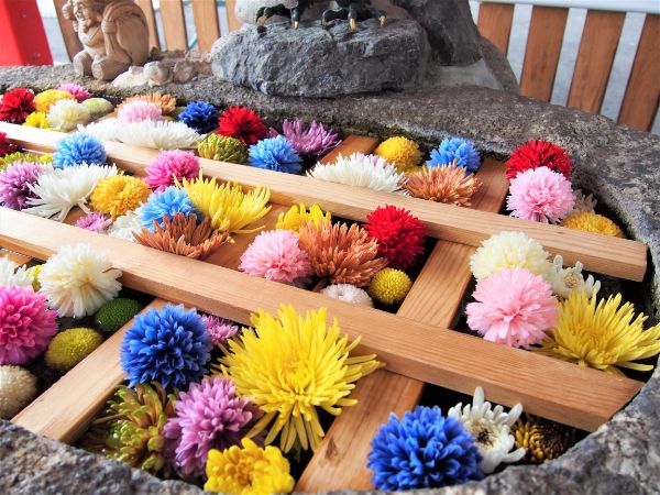 北区》御朱印部門で全国人気1位の別小江神社へ参拝に行きました