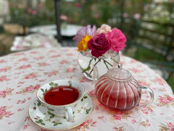 個人の自宅を一般開放！オープンガーデンで秋バラを楽しんで＠四街道