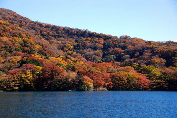 箱根】秋色の箱根路へ・読者特典付きGO TOトラベル利用可の宿泊プラン