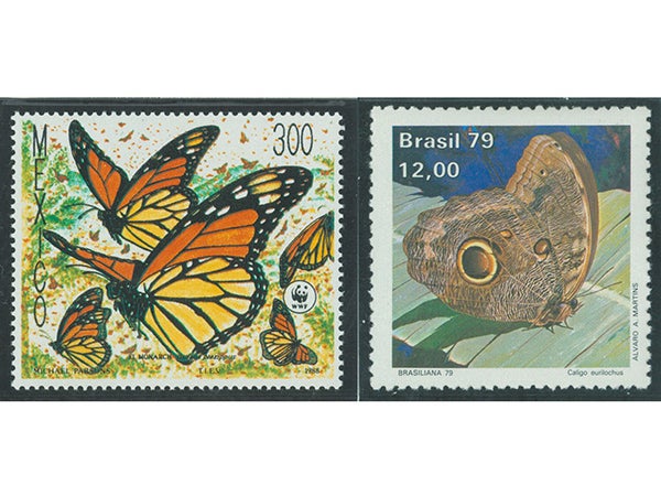 切手コレクション　蝶々 kamei_eye.jpg