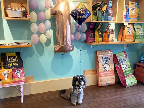 立川 ドッグランの帰りにオヤツや良質なフードを Pawesome リビング多摩web