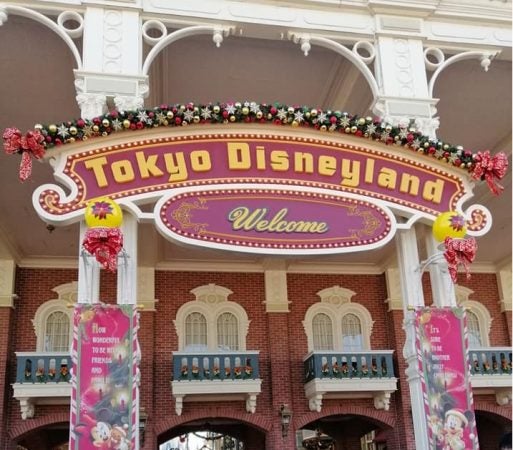 ディズニー 購入済みチケット で抽選 入園できるようになりました リビングメイト おでかけ 節約育児 チリツモ精神で充実life リビングメイト リビングくらしナビ